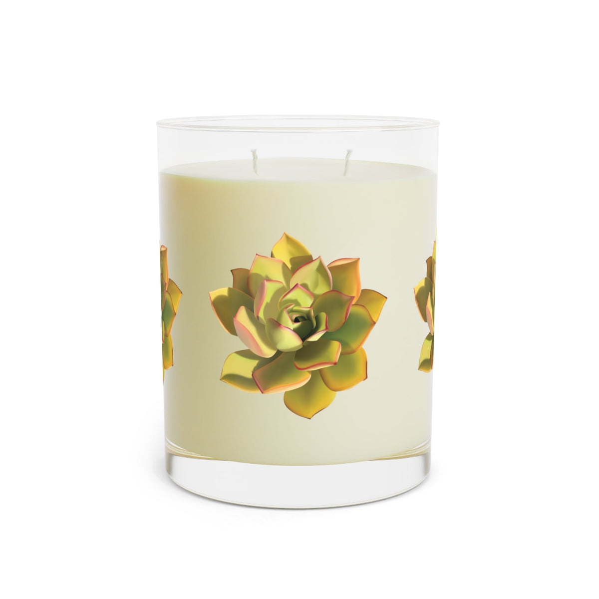 Noble Aeonium Succulent Soy Candle 11 oz – Two Scent Options