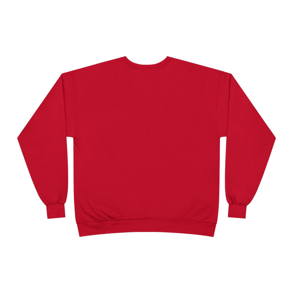 Bold CHEETAH Crewneck Sweatshirt, Wild + Free Women