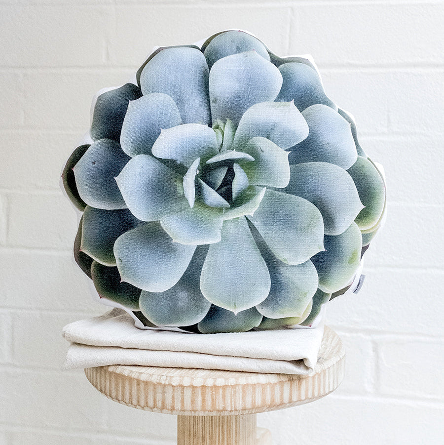 Topsy Turvy Succulent Pillow, Mother's Day Gift, Christmas Gift