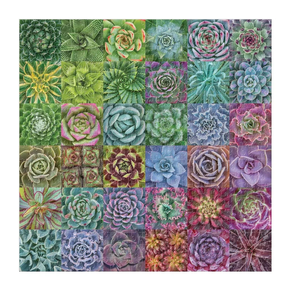 Succulent Spectrum 500 Piece Jigsaw Puzzle Galison