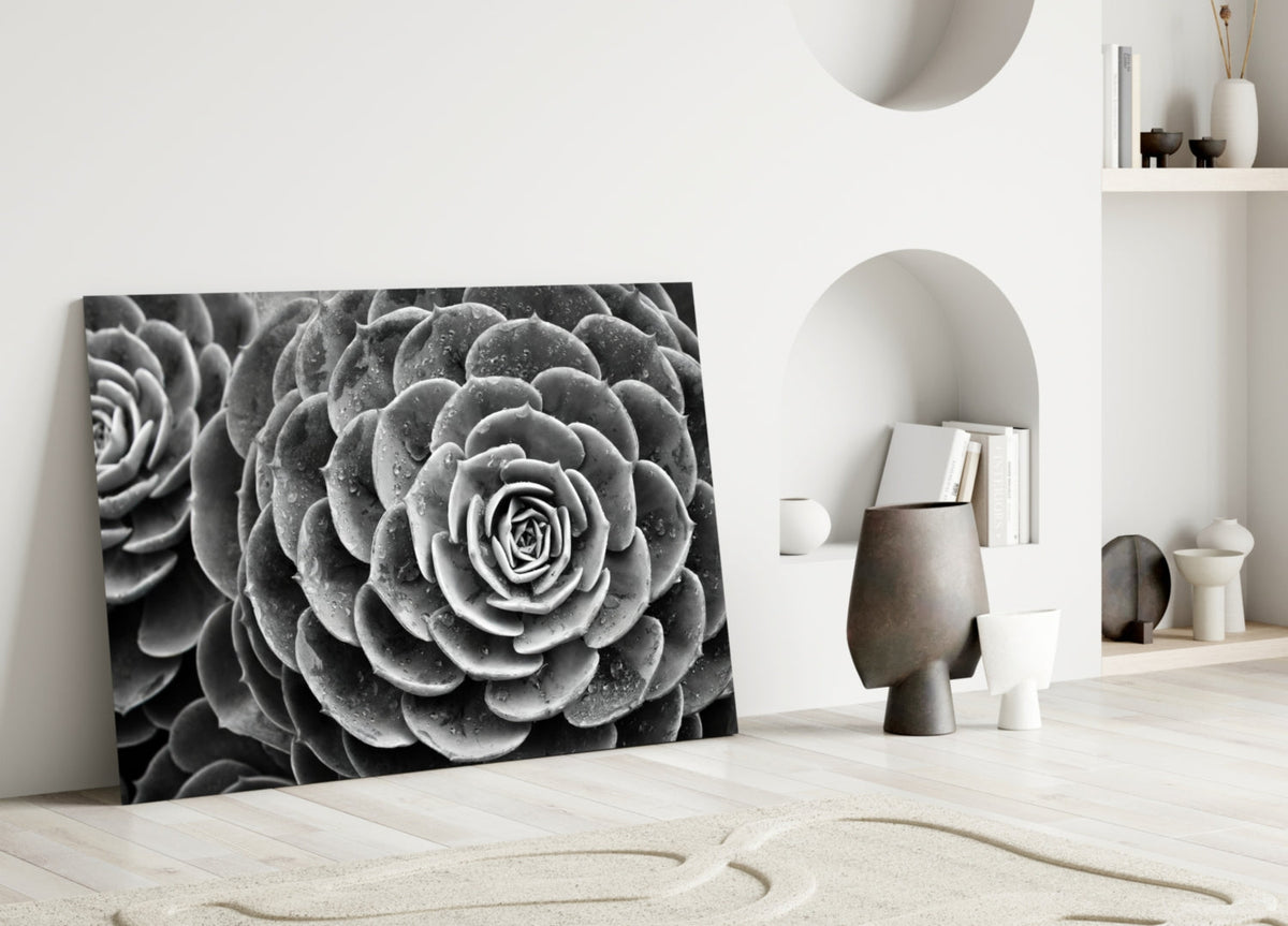 Monochrome Succulent Rosette Glass Wall Art